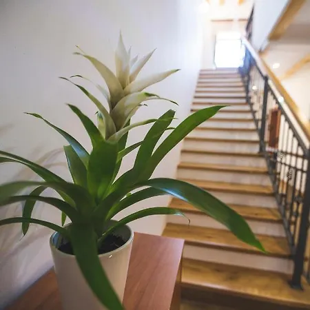 Apartment Vinea App -withe Br. 2 Umag
