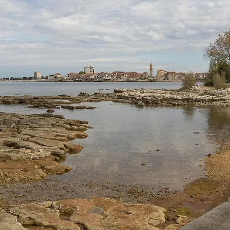 Apartment Vinea App -withe Br. 2 *